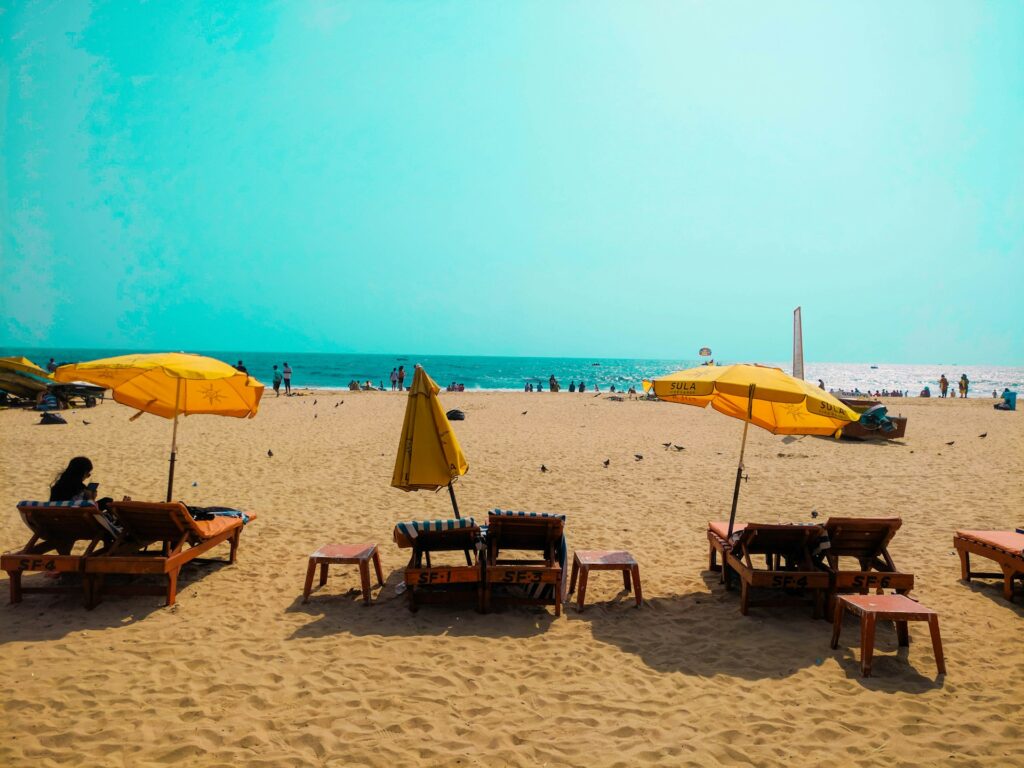  The Serene Beaches of Goa